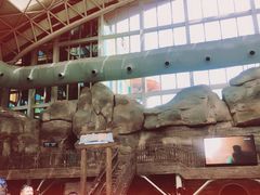 -杭州开元森泊度假乐园