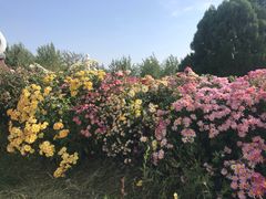 -沙漠世界地质公园