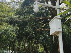 -深圳国际园林花卉博览园