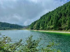 -武陵山森林公园