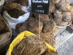 -大象粑粑造纸公园