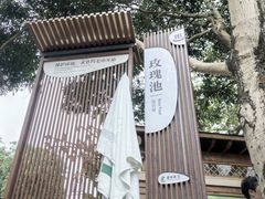 -碧水湾温泉