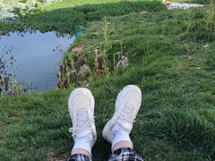 -白鹭湾湿地公园