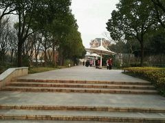 -新江湾城公园
