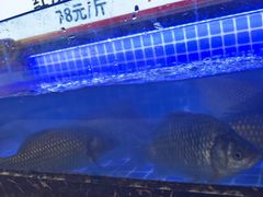 -渝粤小龙虾·海鲜大排档·江湖菜