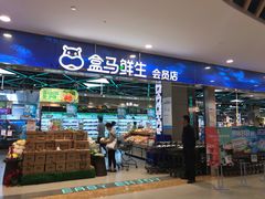 门面-盒马鲜生(宝地店)