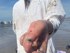 -奉贤海滩