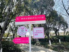 -高东镇樱花园