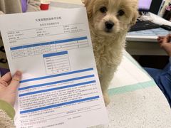 -天宠宠物医院24小时·急重症诊疗中心·全科·腔镜特色(和平分院)