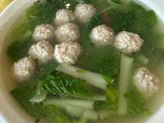 -胖大姐黄辣丁鱼庄(新津店)