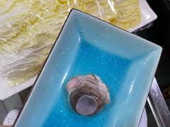 -齐海鱼圣深海石斑鱼火锅店(极地海洋世界店)