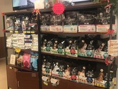 -宠福鑫动物医院·动物疾病诊疗中心(天通苑店)