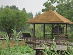 -宁波杭州湾国家湿地公园