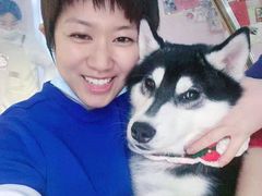 -Husky Go! 哈士奇体验馆·宠物咖啡厅狗咖