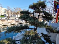-南长河公园