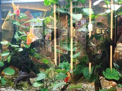 -大家乐(广州荔湾领展广场店)