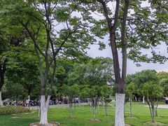 -合肥生态公园