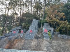 -仙岛湖旅游风景区