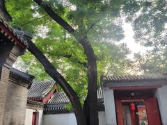 -北京植物园南门售票处