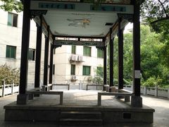 -长沙市青少年宫