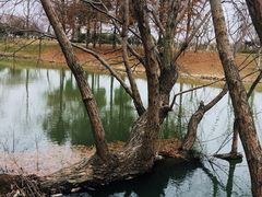 -尚贤河湿地