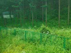 -塞罕坝国家级自然保护区