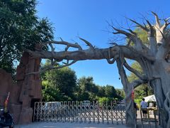 -红山国家森林公园