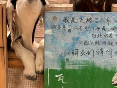 -水上乐园·欢乐世界