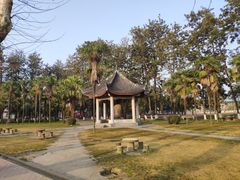 -四川大学(望江校区)