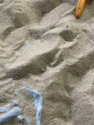 点击看大图 -恐龙探索乐园(磁器口店)