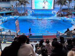 -海合安成都极地海洋公园