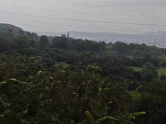 -张坝桂圆林公园