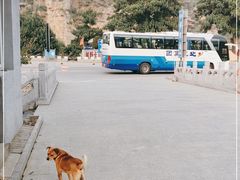 -十渡高山漂流