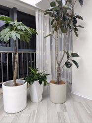 -HEYAN荷妍专业脱毛连锁机构
