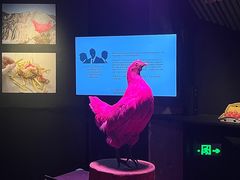 -现代汽车文化中心 Hyundai Motorstudio Beijing