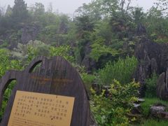 -千岛湖石林