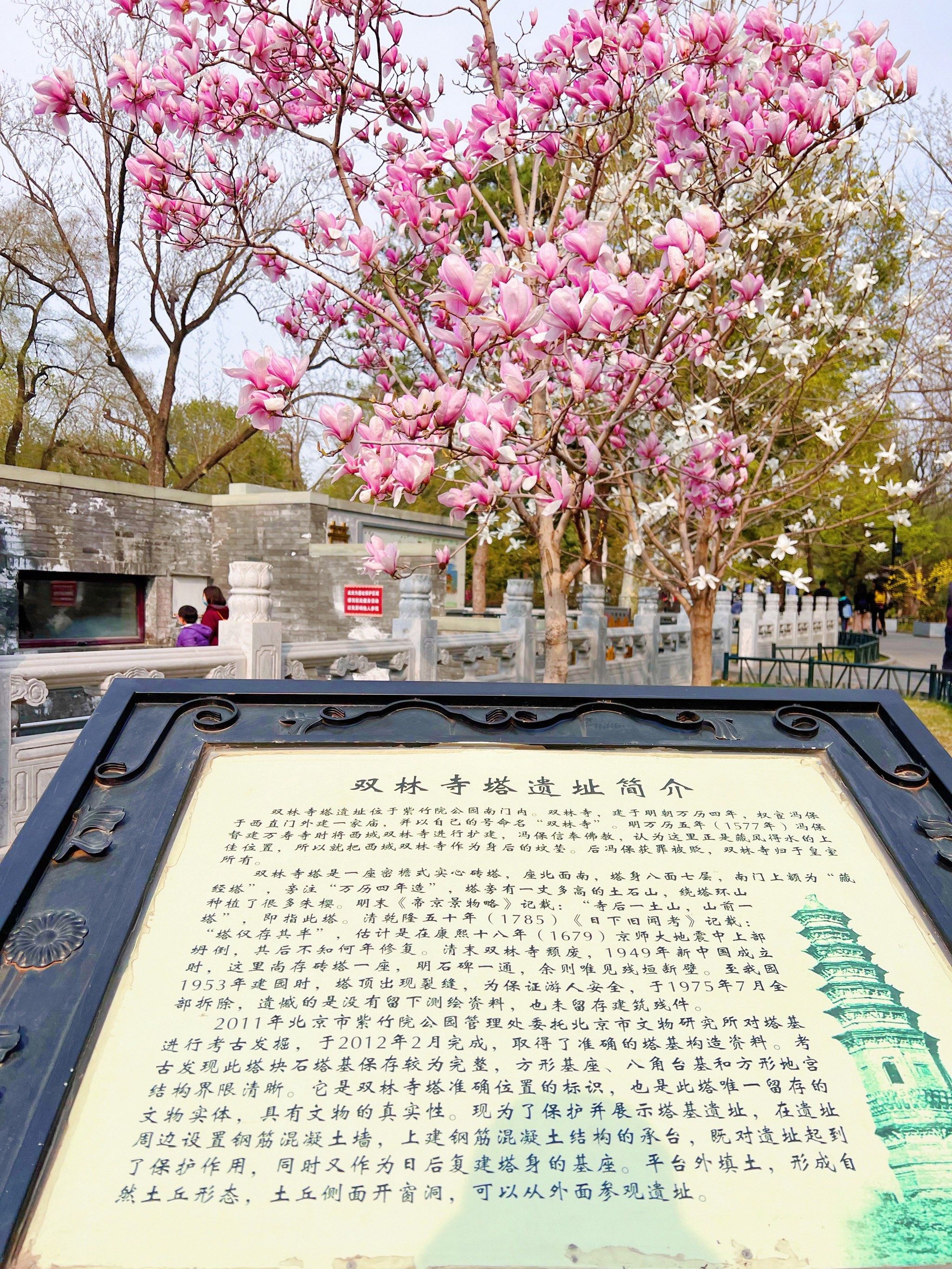 双林寺塔遗址