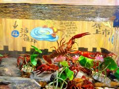 -长沙文和友(海信广场店)