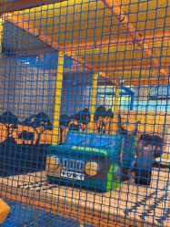 -MELAND CLUB亲子乐园•派对(虹桥万象城店)