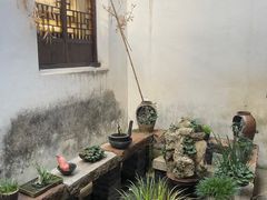 -月栖华明-云间草堂清茶馆(泗泾古镇店)