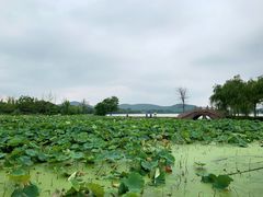 -云龙湖旅游景区