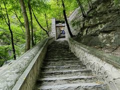 -北京上方山国家森林公园