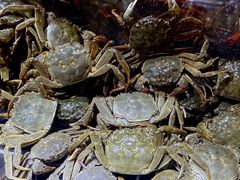 -聚盛源蒸汽海鲜火锅烤肉自助(巨川金海岸购物广场店)