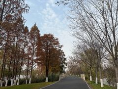 -东湖落雁景区
