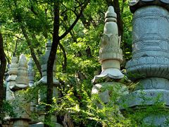 -天津盘山风景名胜区