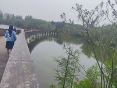 -昆山城市生态森林公园