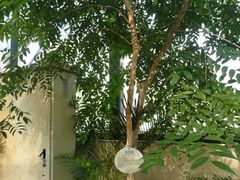 -武清南湖绿博园