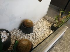 -莓超疯