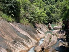 -广州白江湖森林公园