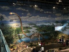 -自贡恐龙博物馆
